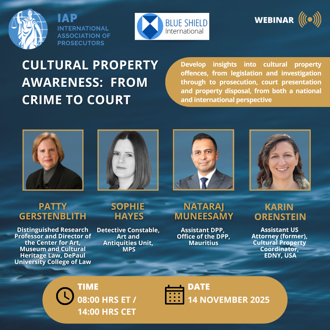 BSI-webinar-2.png
