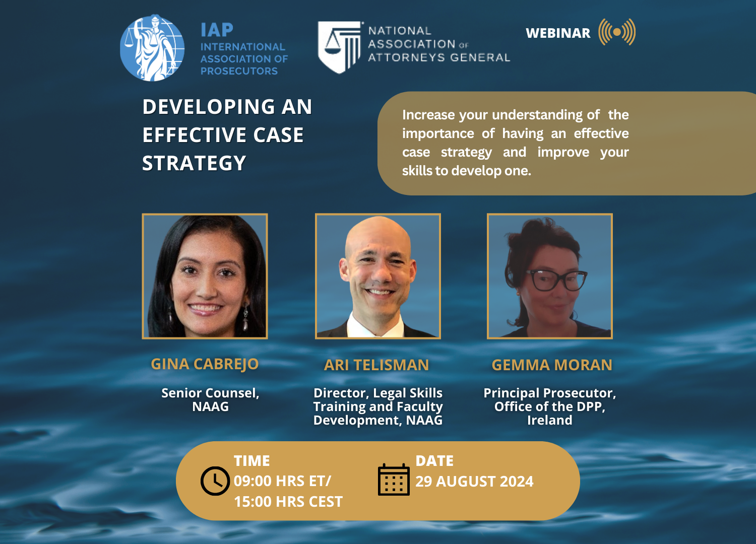 Effective-Case-Strategy-2-webinar.png
