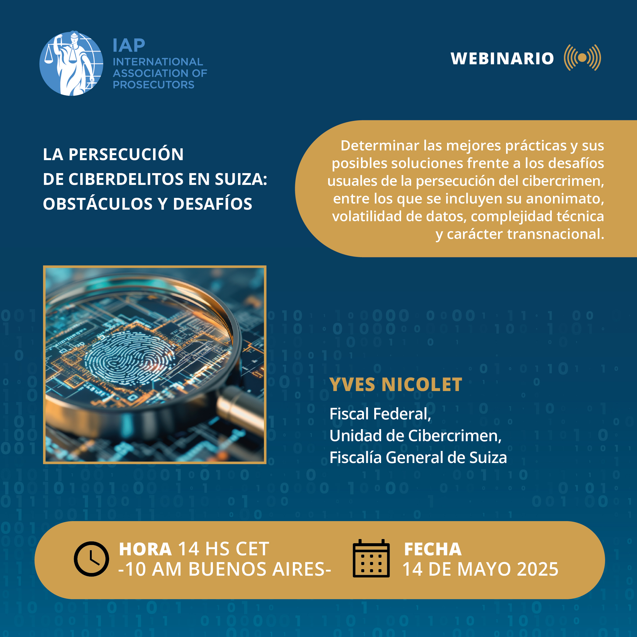 Webinario-IAP-140525-144dpi.jpg