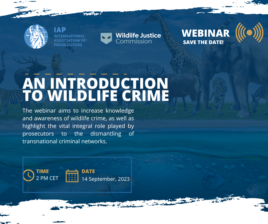 Wildlife Crime sept 2024